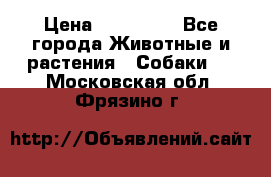 French Bulldog Male › Цена ­ 150 000 - Все города Животные и растения » Собаки   . Московская обл.,Фрязино г.